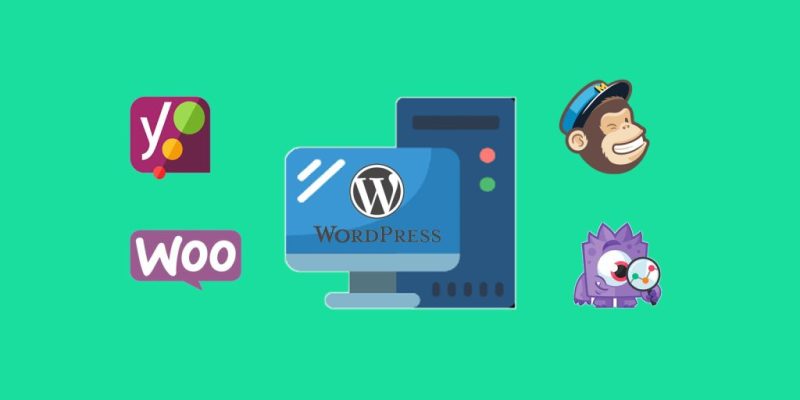 What is WordPress What is WordPress Theme and WordPress Plugin?